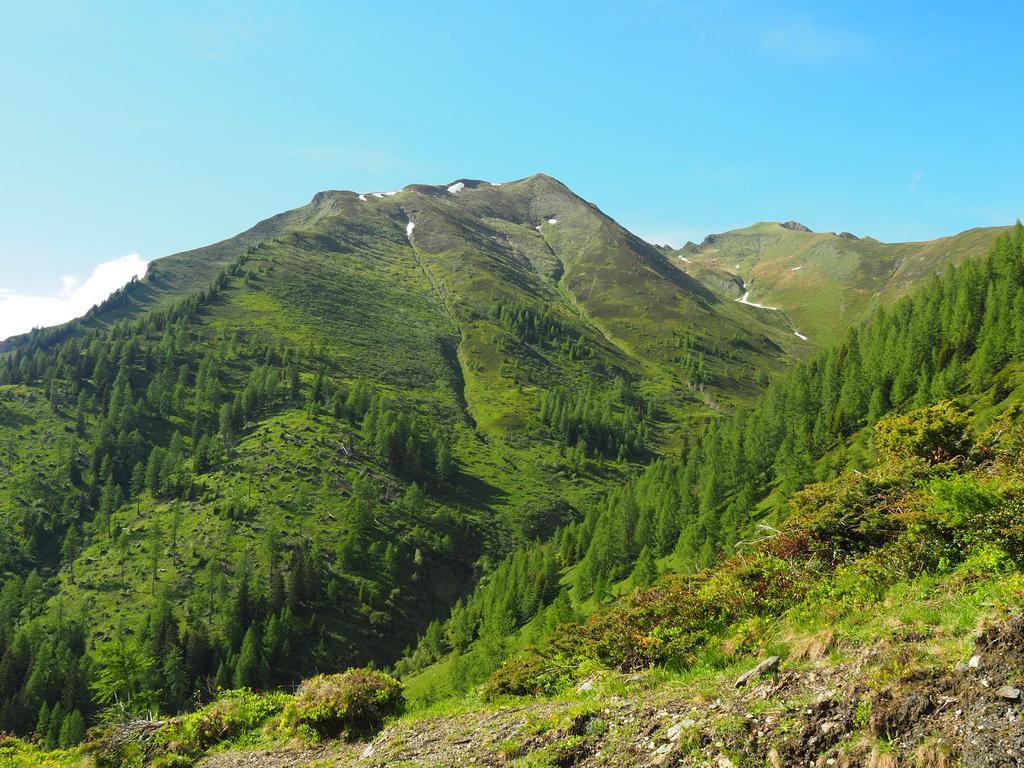 Stubnerhof Otel Bad Gastein Dış mekan fotoğraf