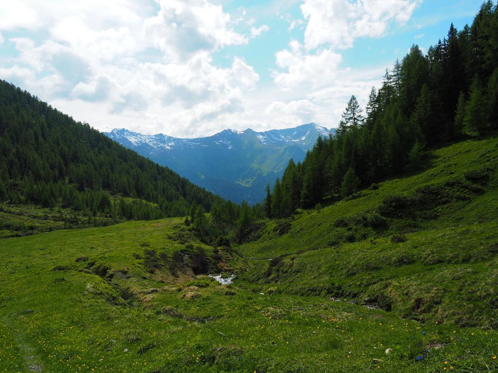 Stubnerhof Otel Bad Gastein Dış mekan fotoğraf